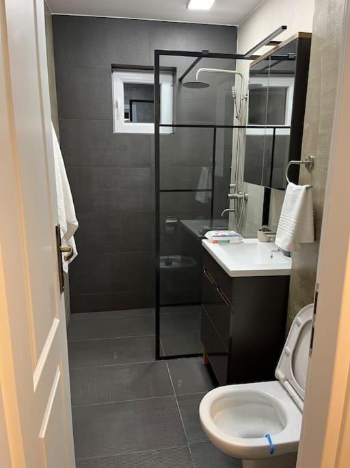 Apartament Suceava Buitenkant foto